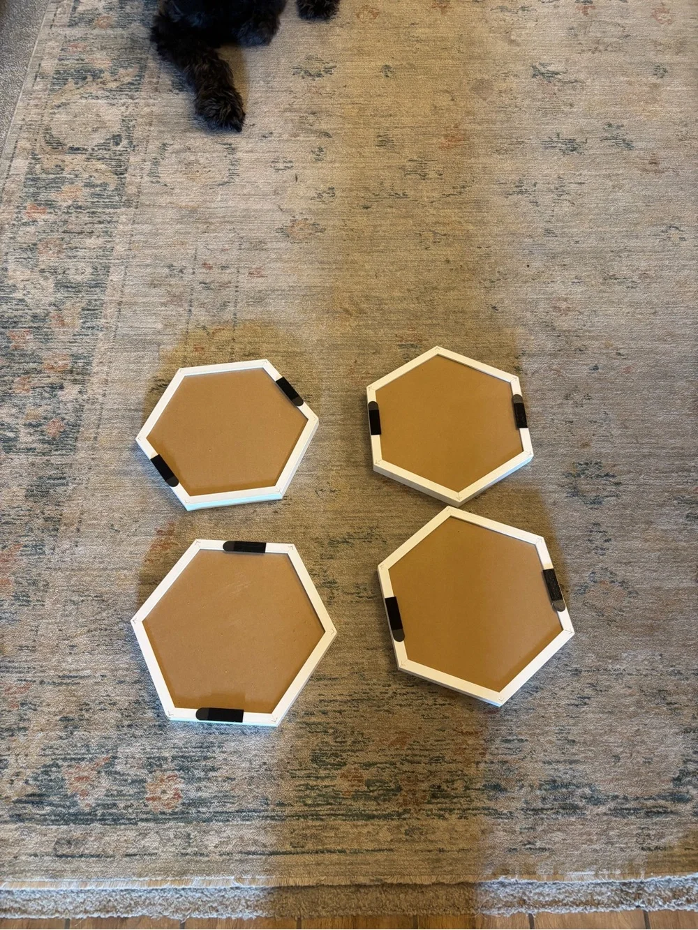Target White Framed Hexagon Cork Wall Hooks - Brown Cork Set of 4
